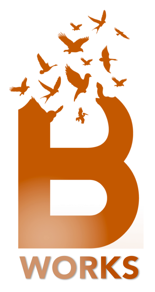 BWorks construction